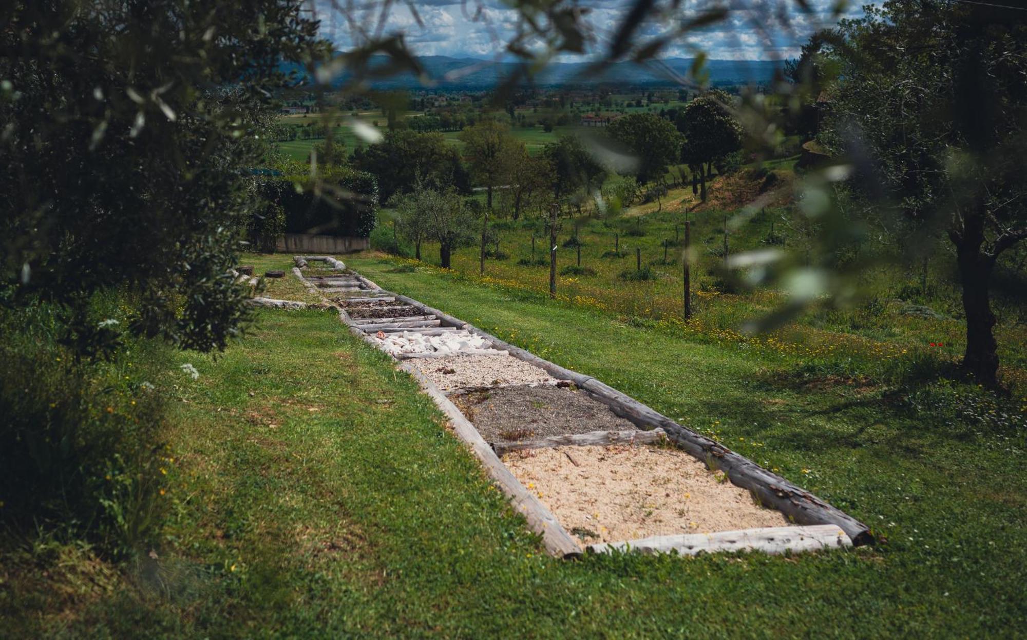 Agriturismo Podere Tovari Anghiari Zewnętrze zdjęcie